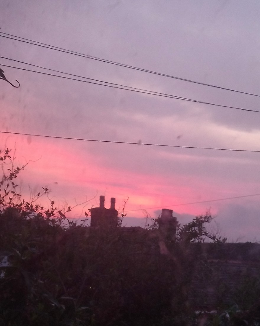 IMG_20190409_103014_988