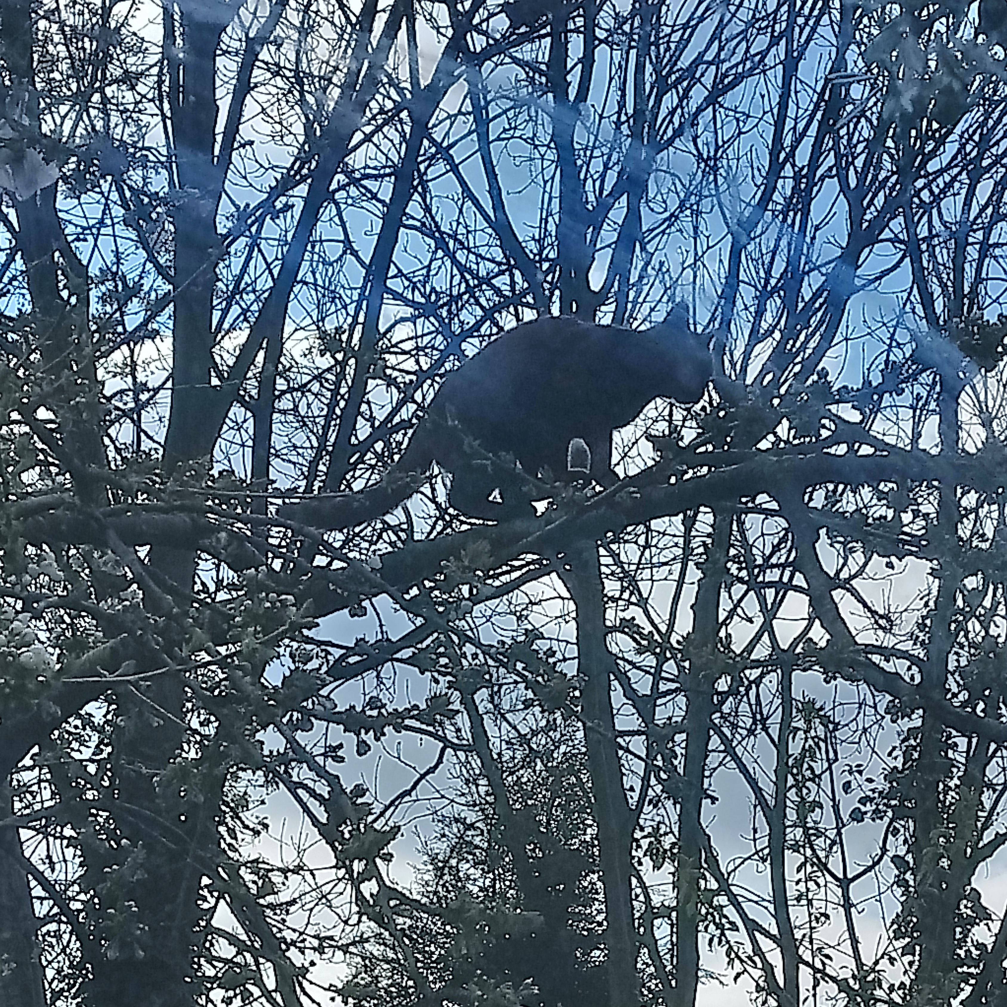 IMG_20190412_105247_081