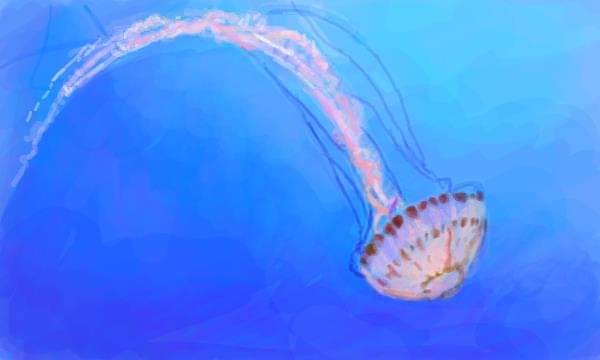 IMG_20190415_113957_424