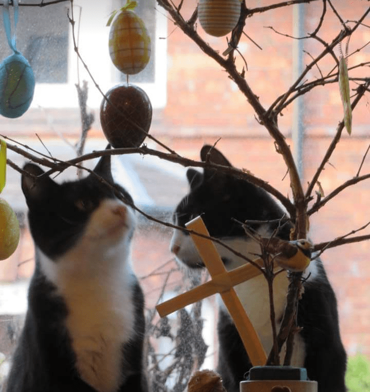 Screenshot_20190421-115220