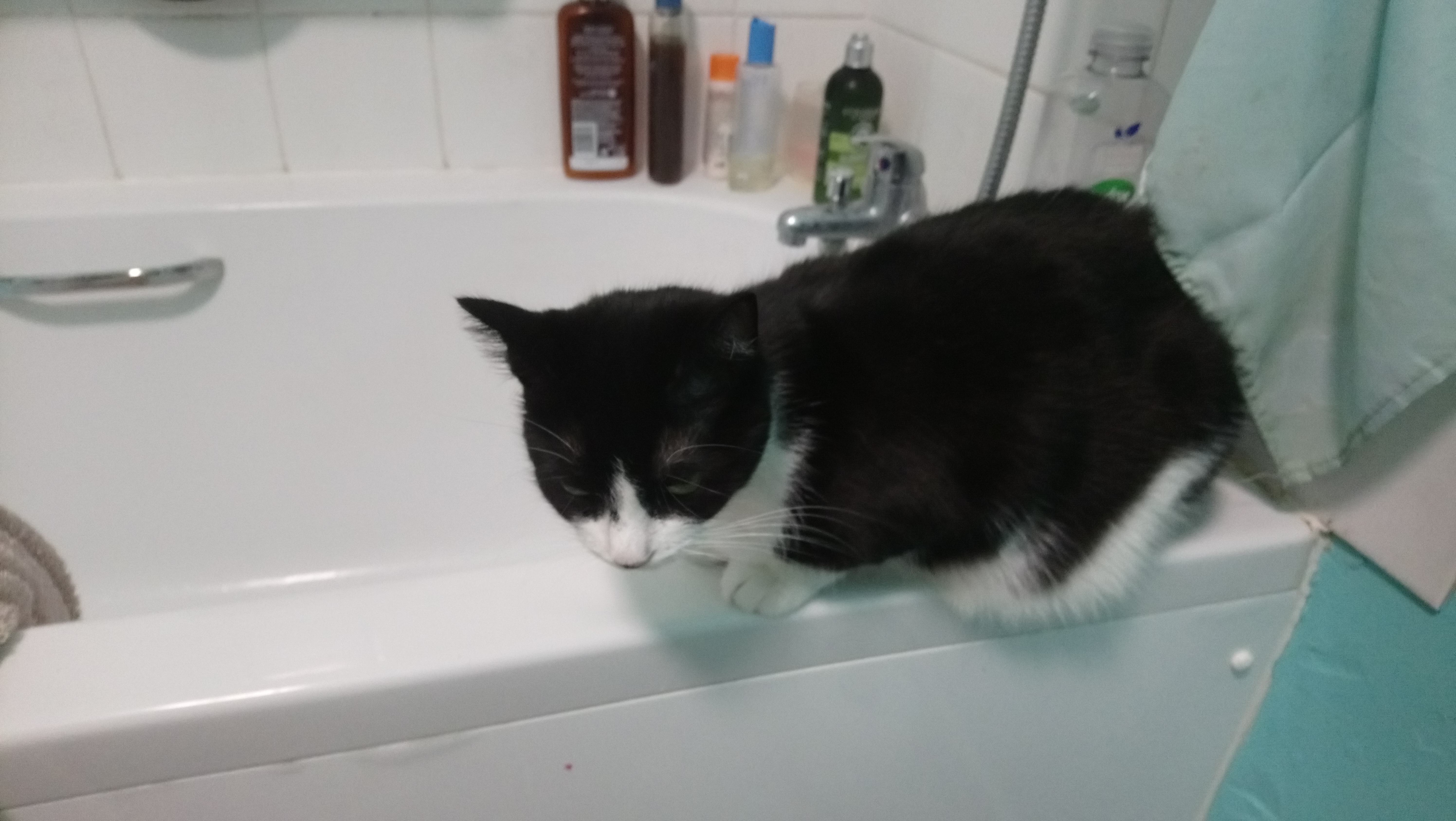 sketch_pic_1547338969405