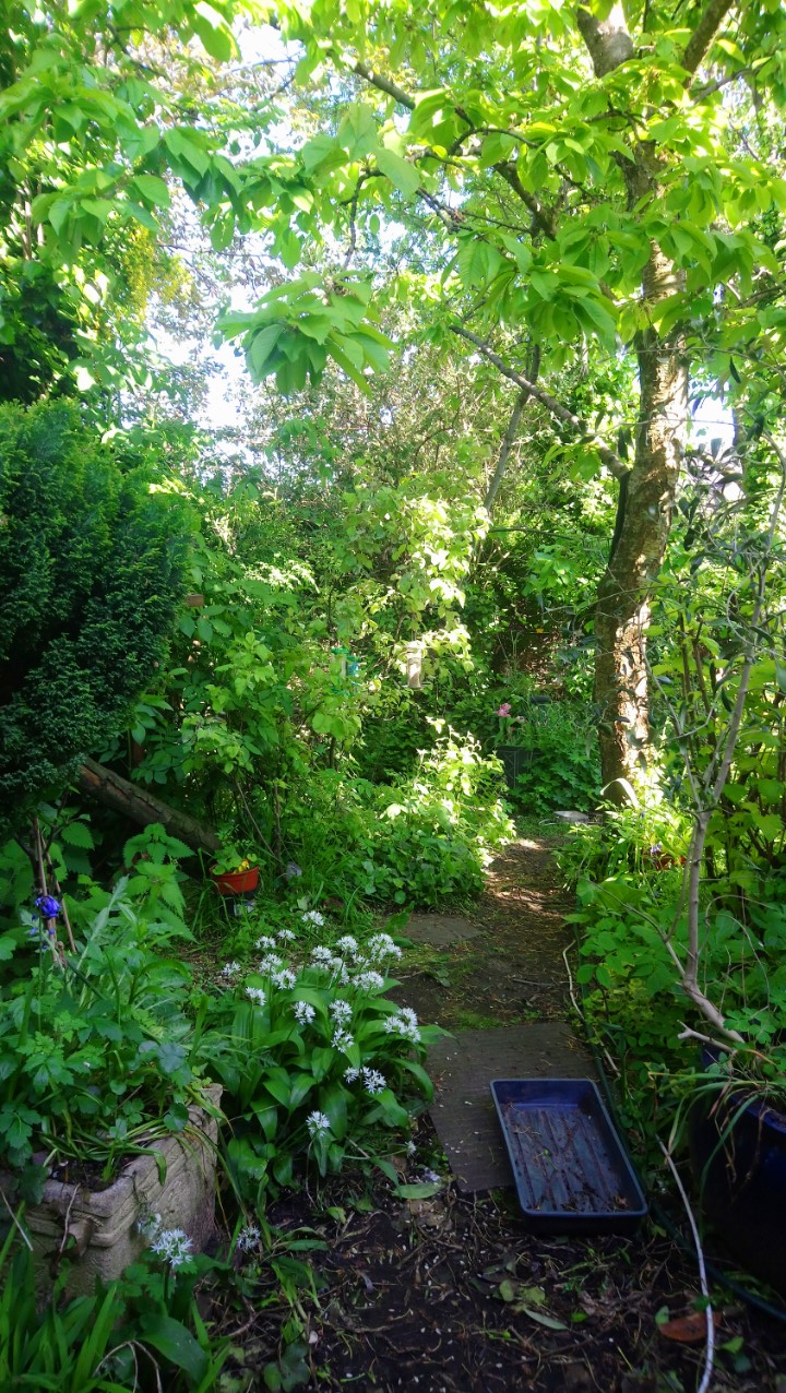 DSC_2003_optimized (2)