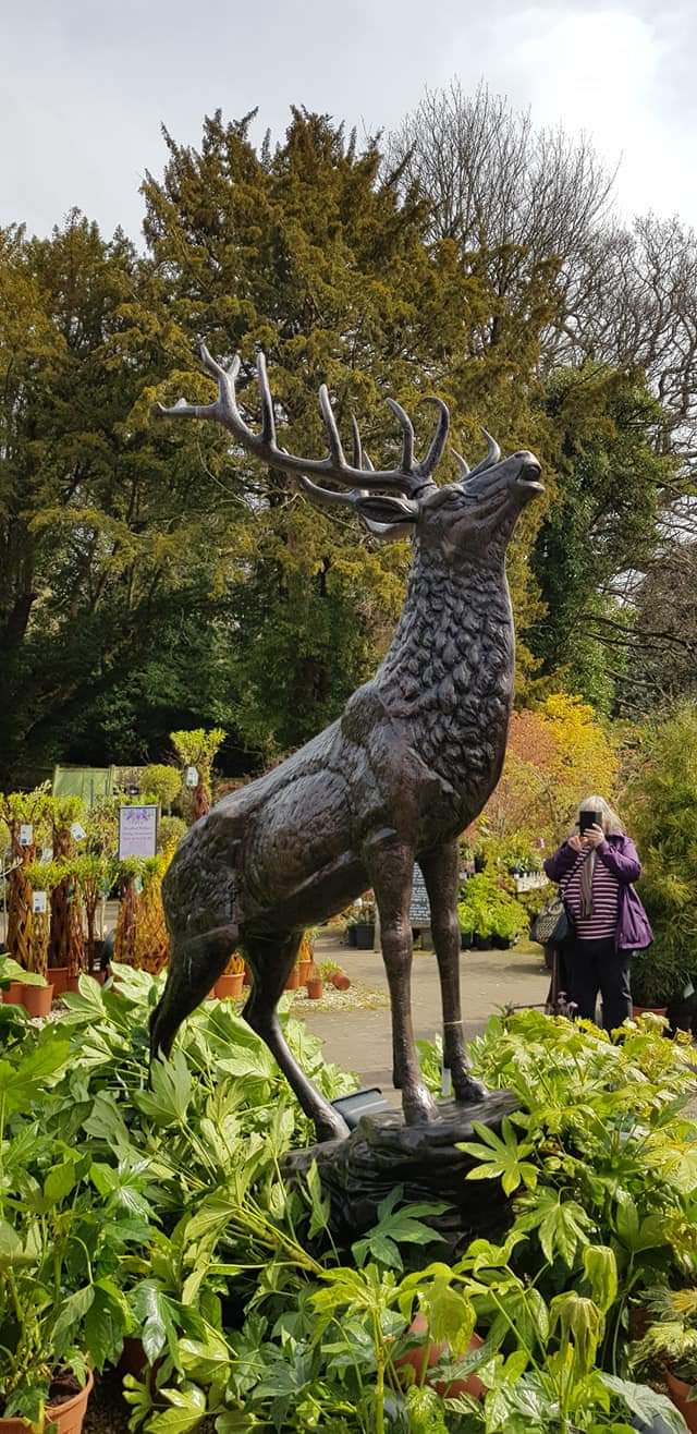 FB_IMG_1556880024333