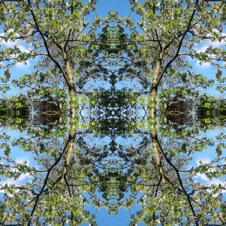 FB_IMG_1557045000851