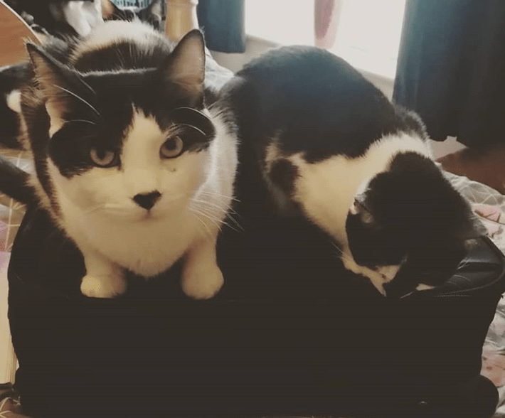 Screenshot_20190508-145812