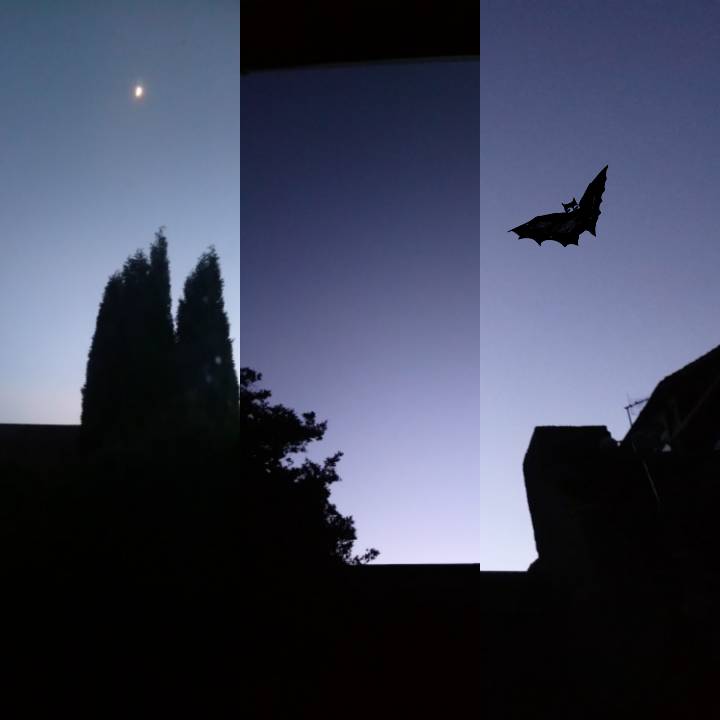 sketch-1557607896937