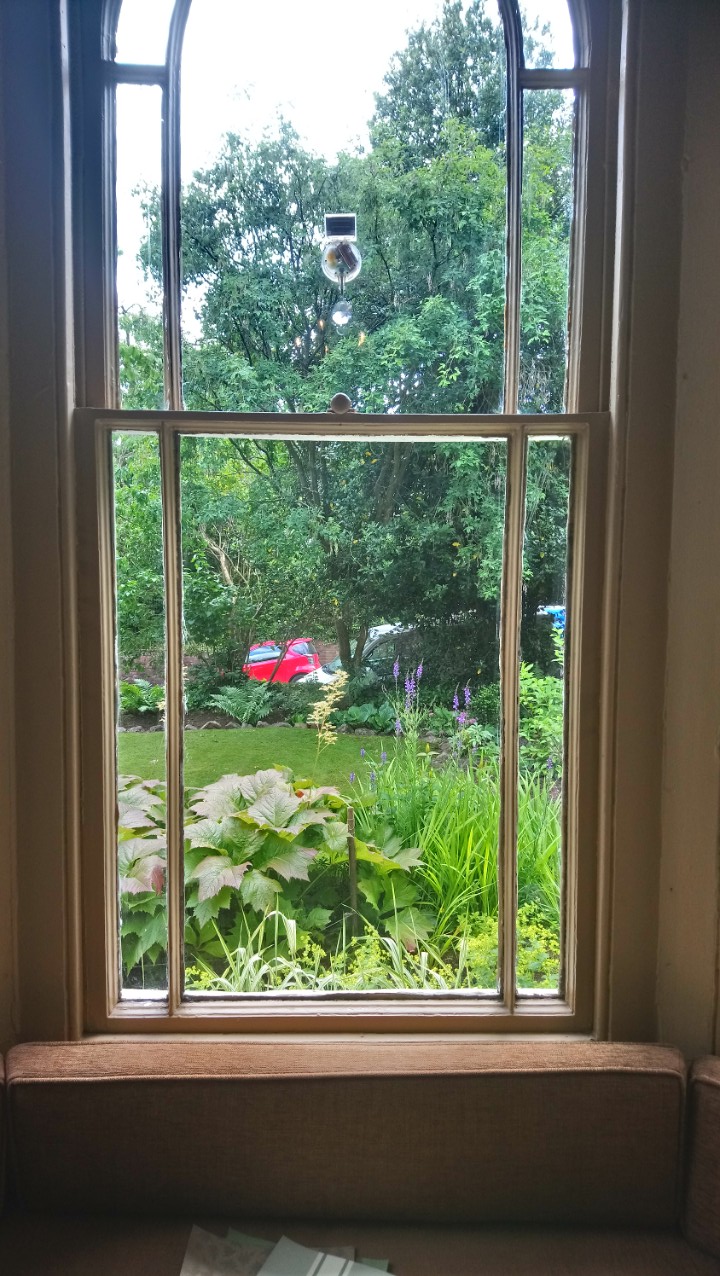 DSC_1994_optimized (7)