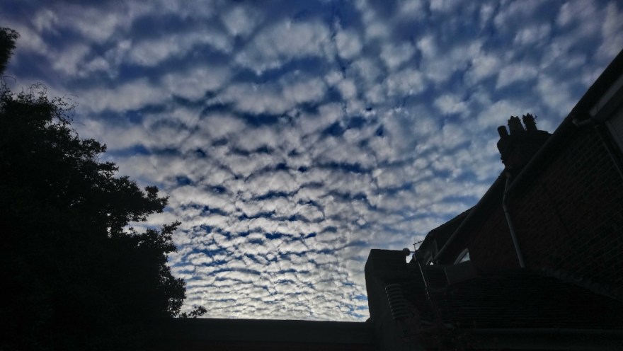 IMG_20190521_210738_628_optimized