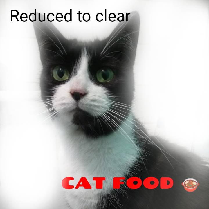 sketch-1561565866158