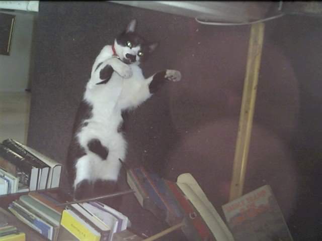 FB_IMG_1561937386332