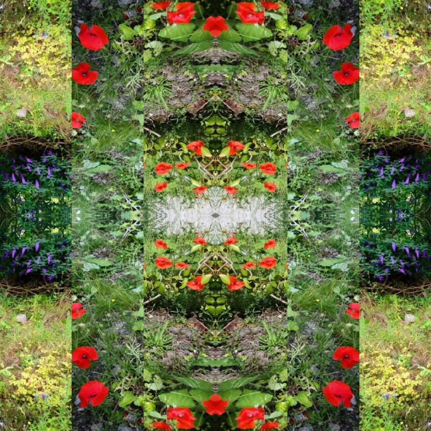 IMG_20190717_232527_420