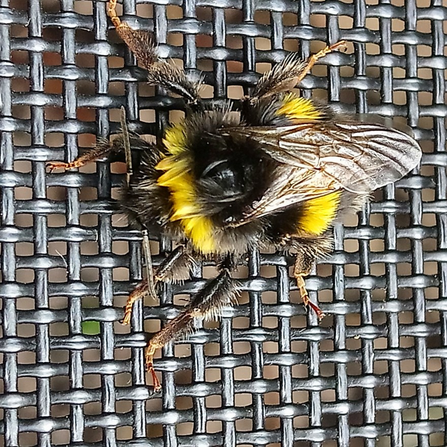 IMG_20190722_164243_584