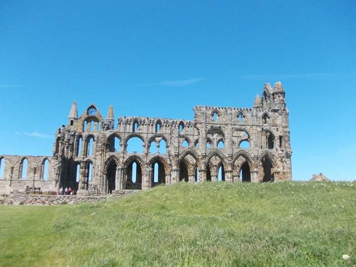 FB_IMG_1560728018998