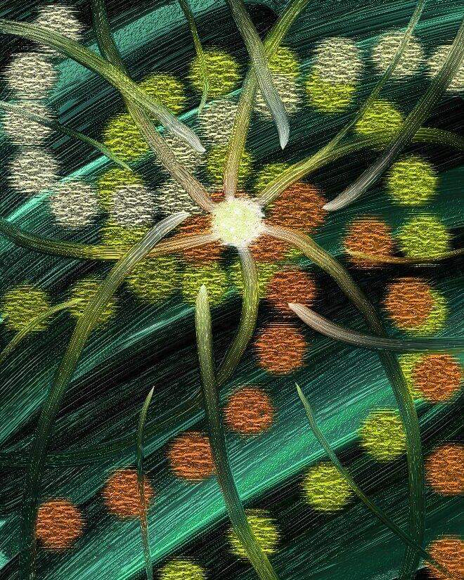 FB_IMG_1565101878321