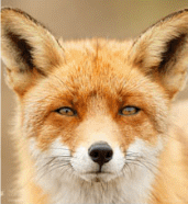 Screenshot_20190724-005550