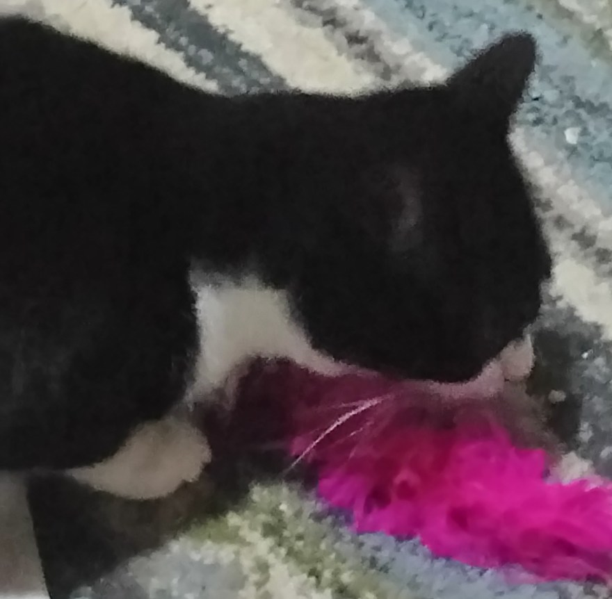 15673777863805383340281126178247