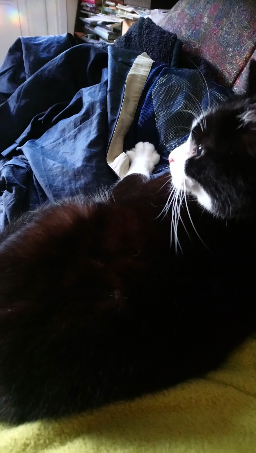 15676974139732545418753177606166