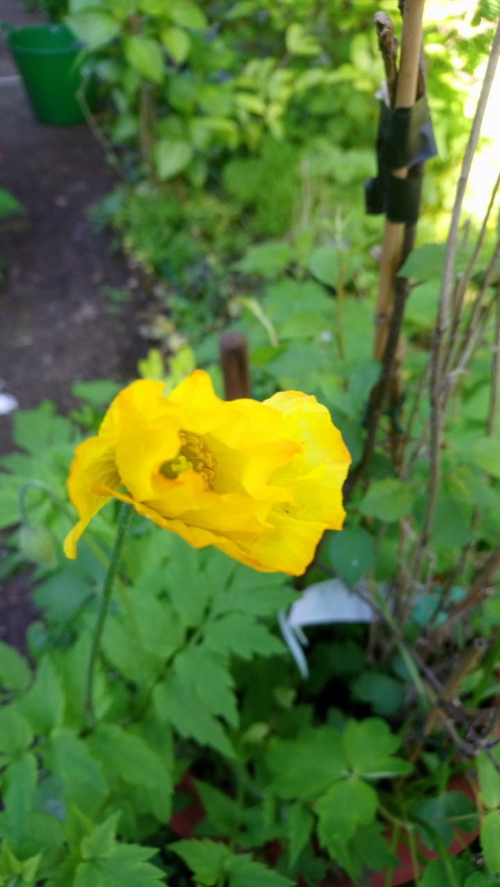 DSC_2001_optimized (2)