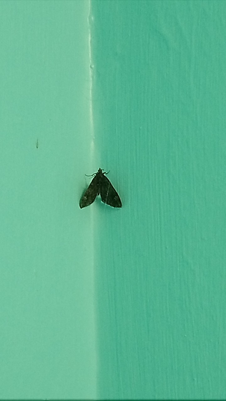 DSC_2182_optimized (2)