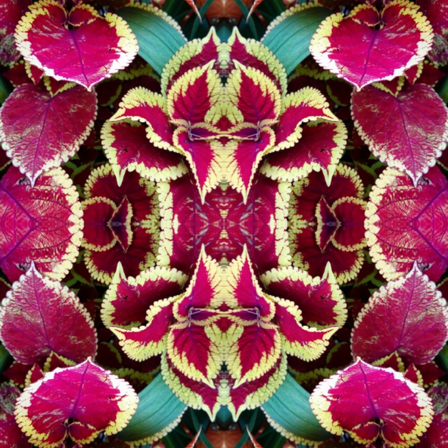 IMG_20190910_002021_optimized