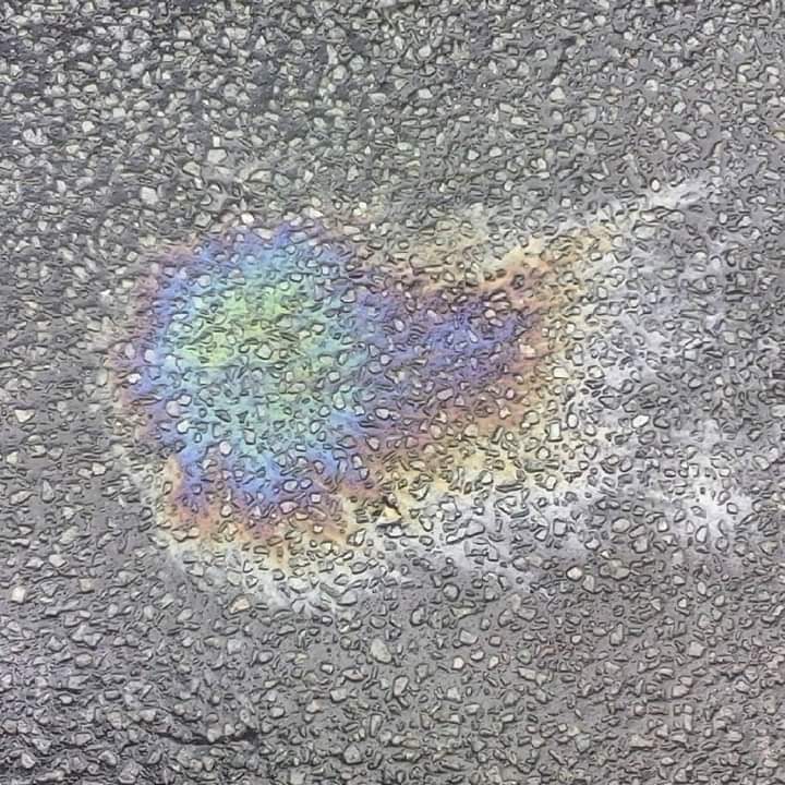 FB_IMG_1568676690618