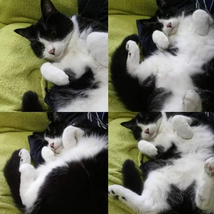 FB_IMG_1572196814184