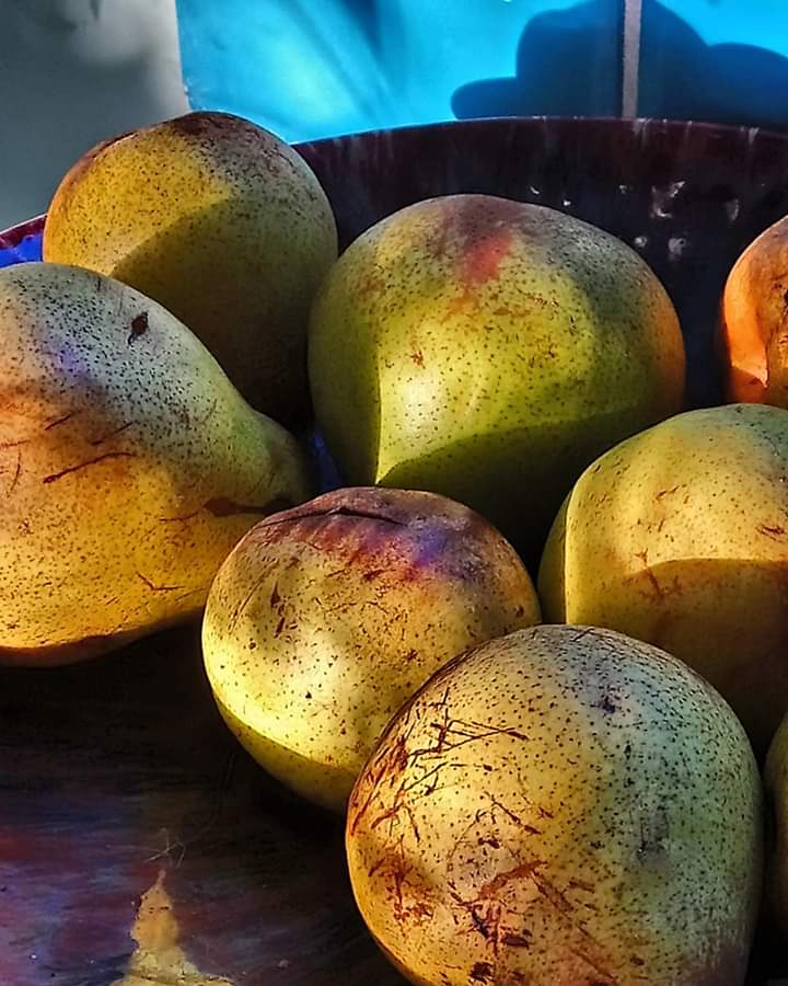 FB_IMG_1572353362934