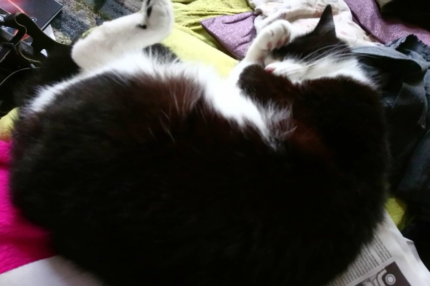 IMG_20191027_003621_785