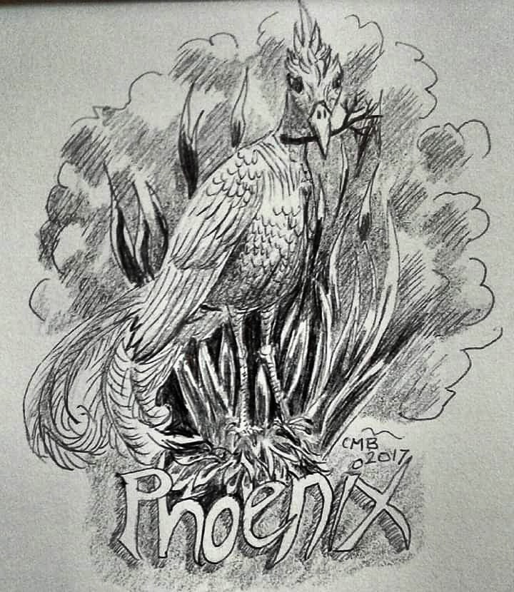 IMG_20191031_144918_833