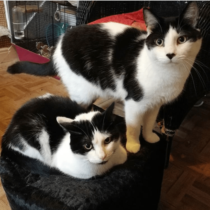 Screenshot_20190907-015600