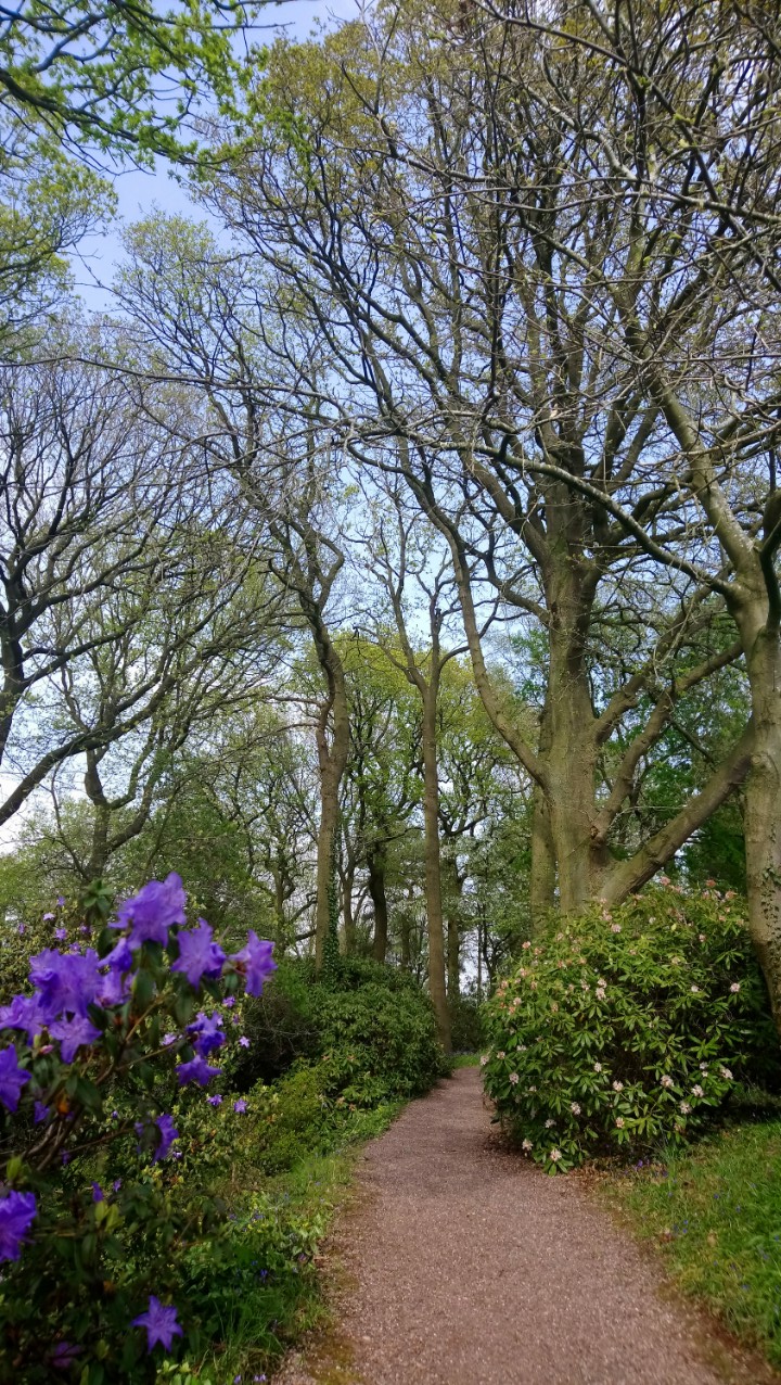 DSC_1852_optimized (3)