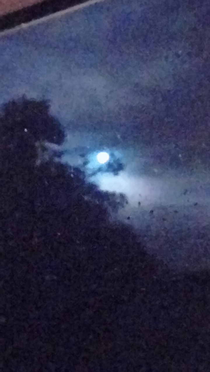 DSC_2334_optimized (7)