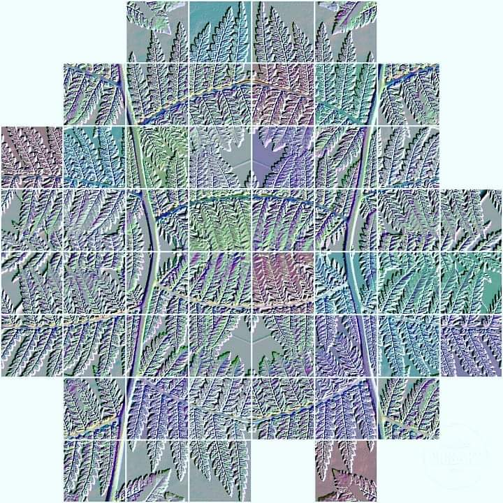 FB_IMG_1572824591598