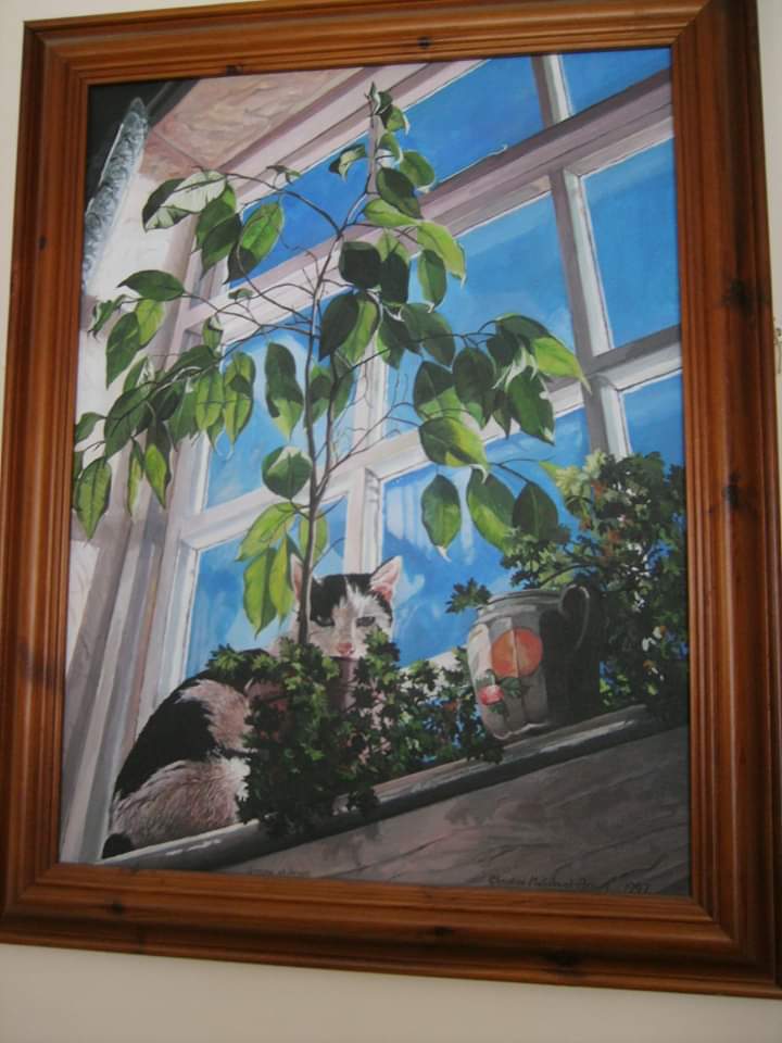 FB_IMG_1574810138677