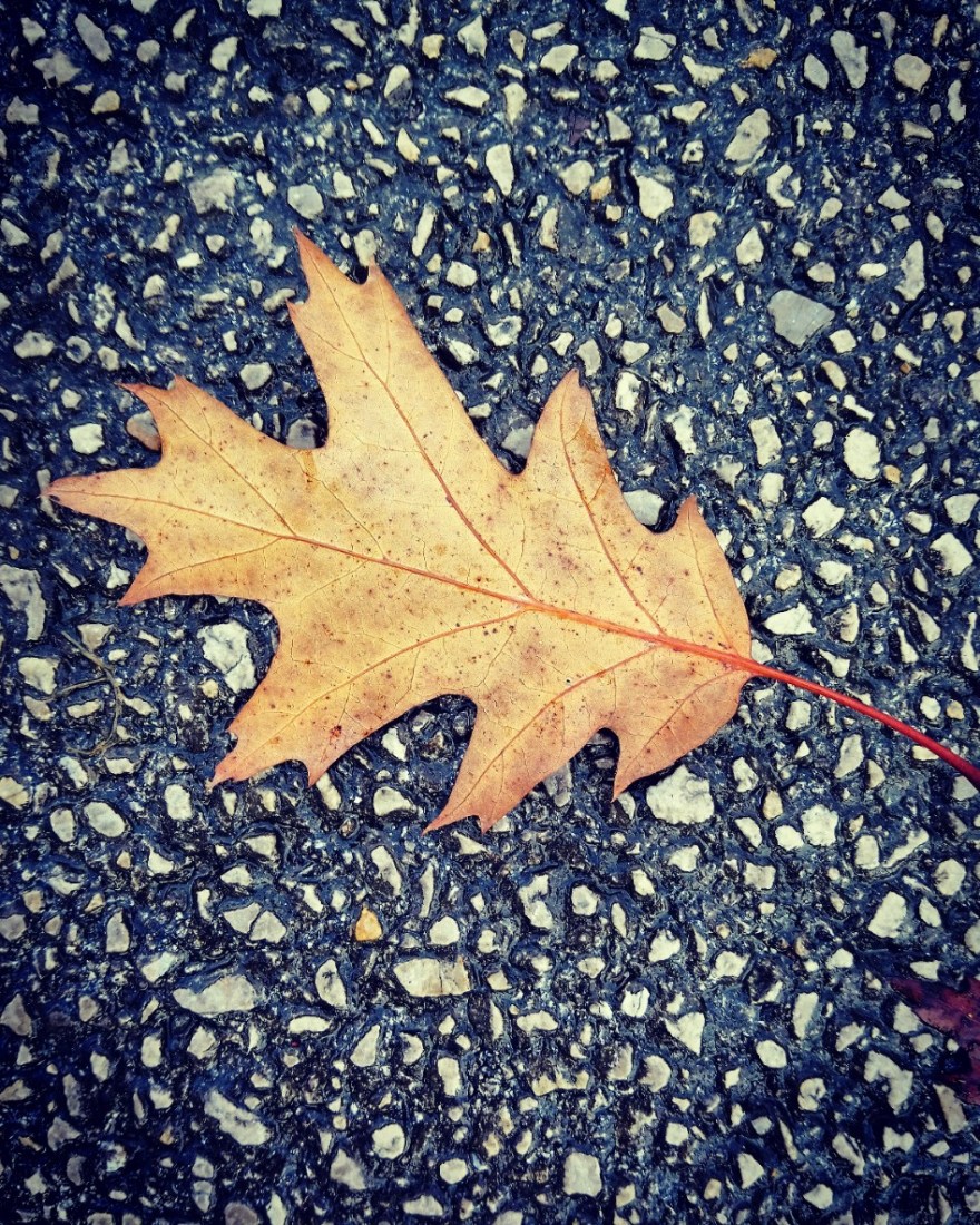 IMG_20191013_221734_753 (2) (2) (2) (2)_optimized