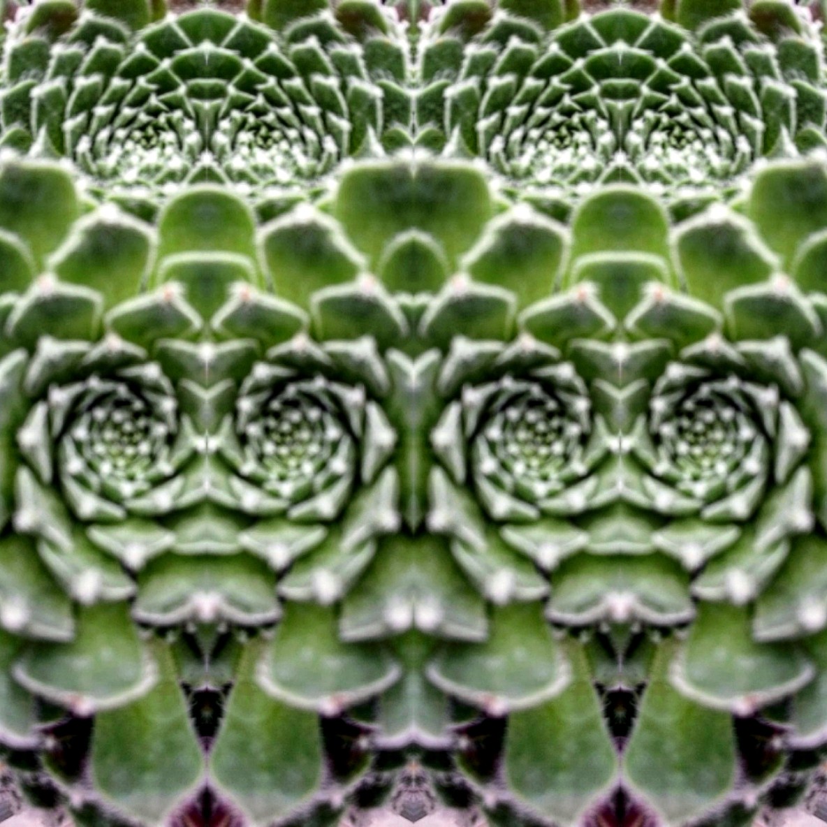 IMG_20191016_182111_854 (2) (2) (2)_optimized