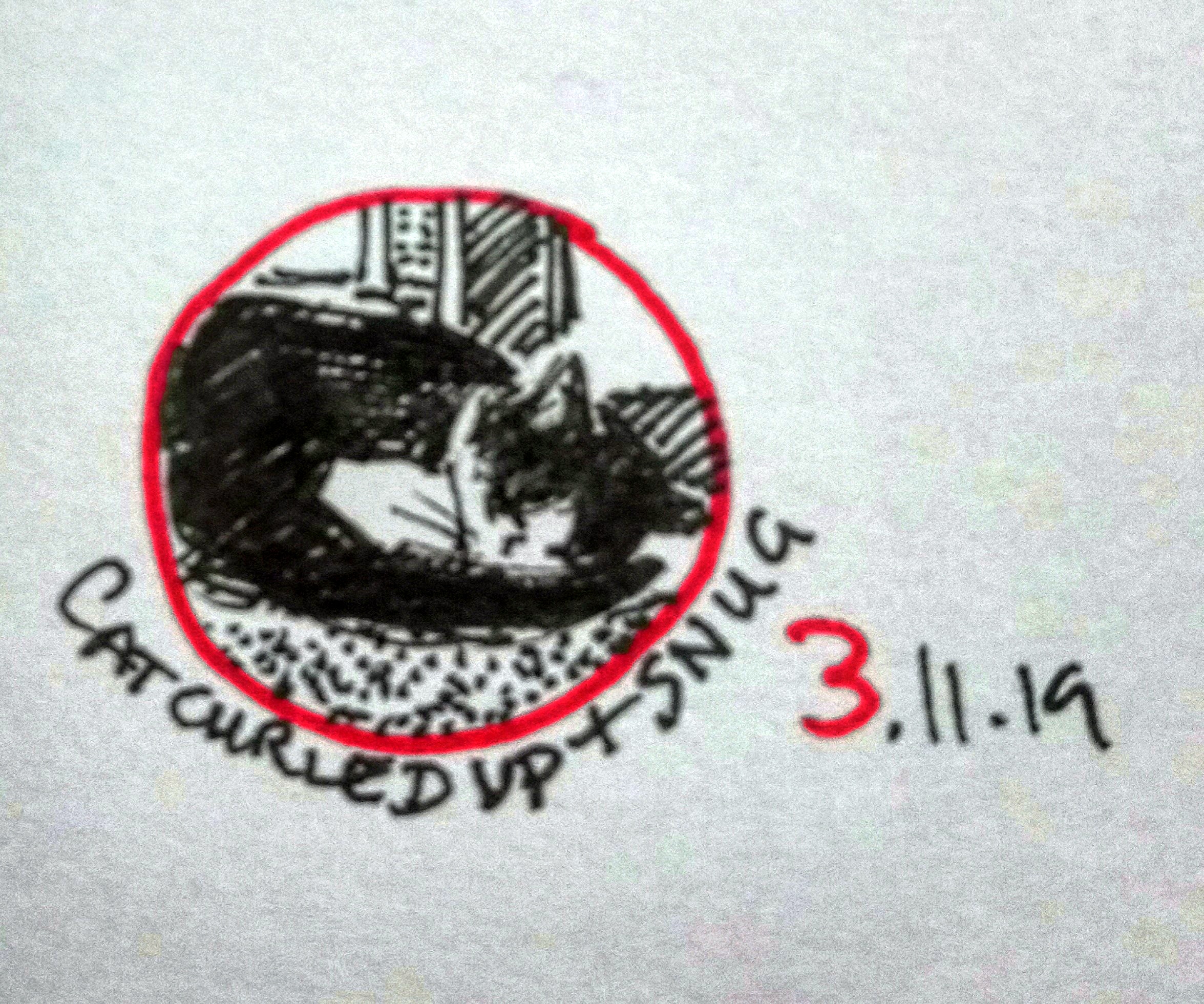 IMG_20191103_170926_730