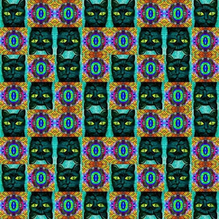 IMG_20191107_105355_808