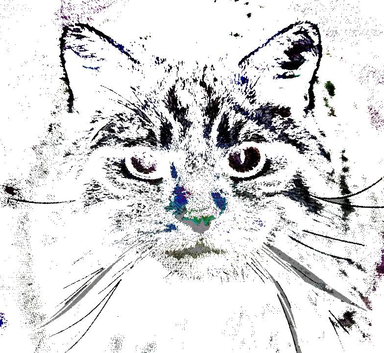 sketch-1570286017450