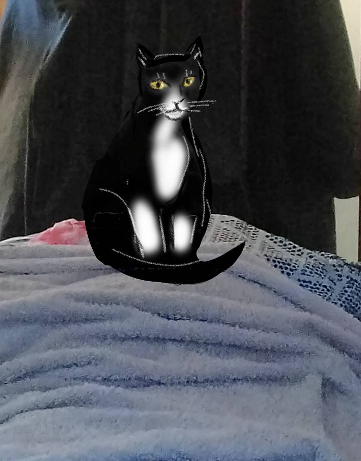 sketch-1573732727679