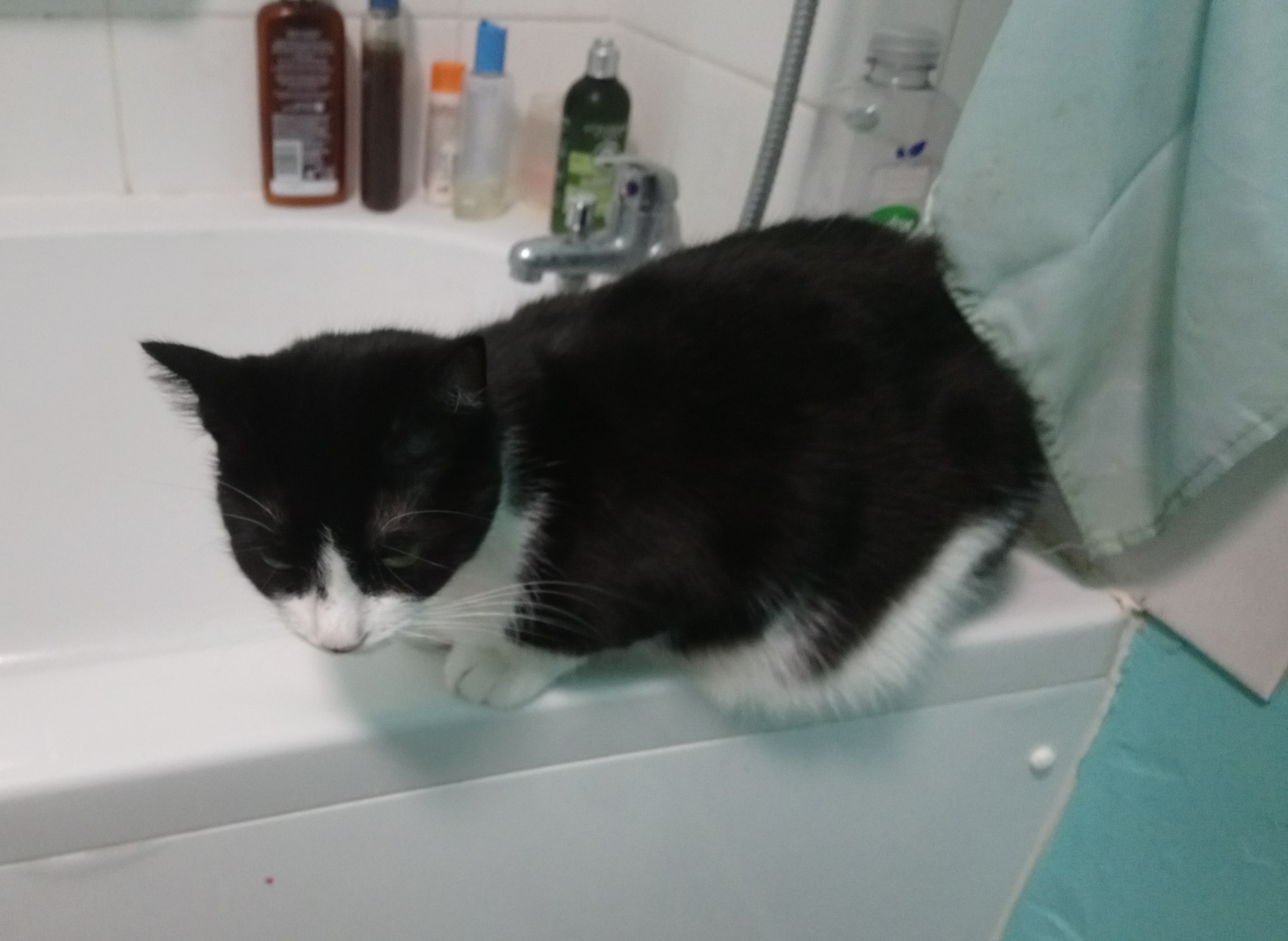 sketch_pic_1547338969405