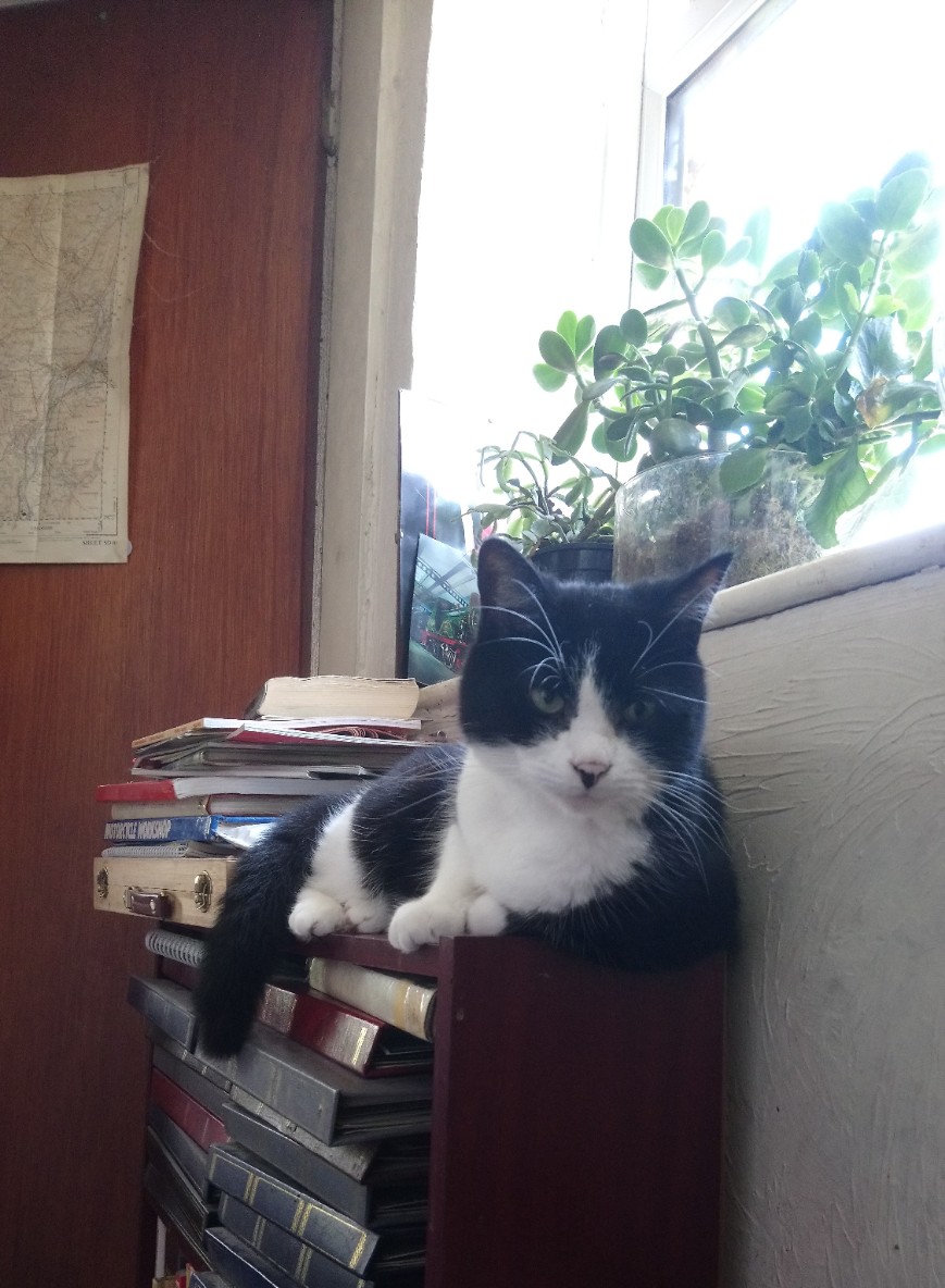 _20190723_133819_optimized