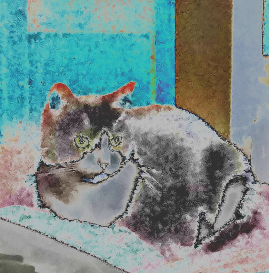 _20191009_002050_optimized