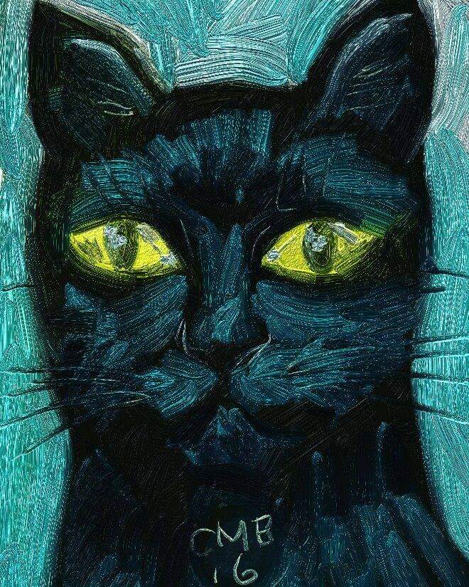 FB_IMG_1573123796865