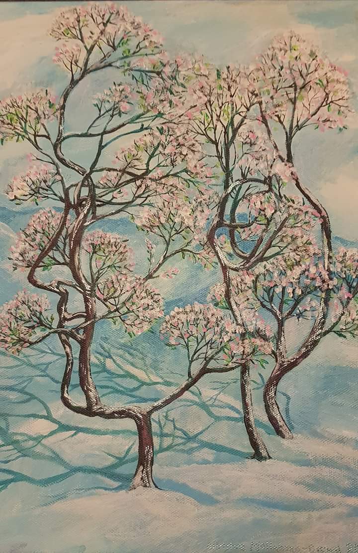 FB_IMG_1574734112283