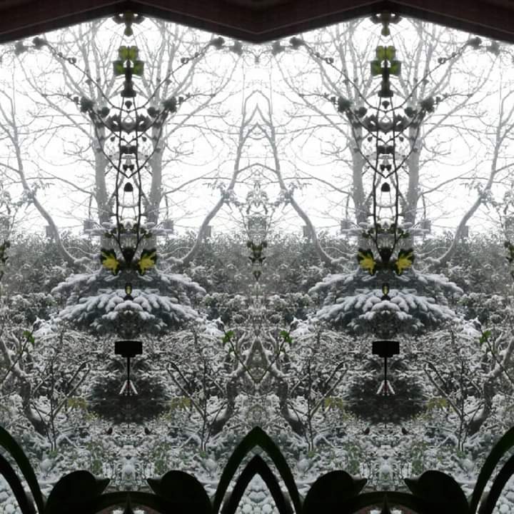 FB_IMG_1575981485345