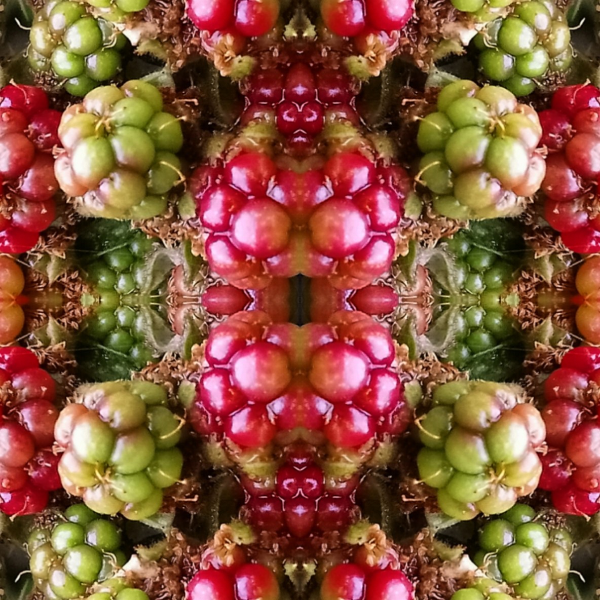 IMG_20190809_004451_optimized