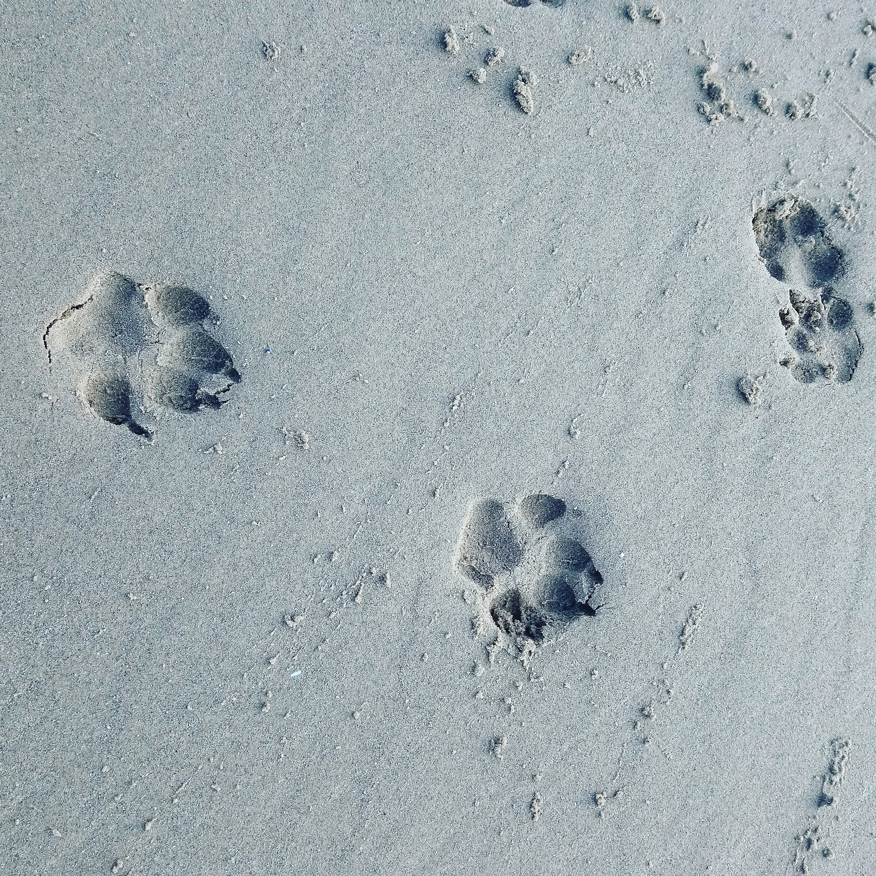 IMG_20191227_001337_286