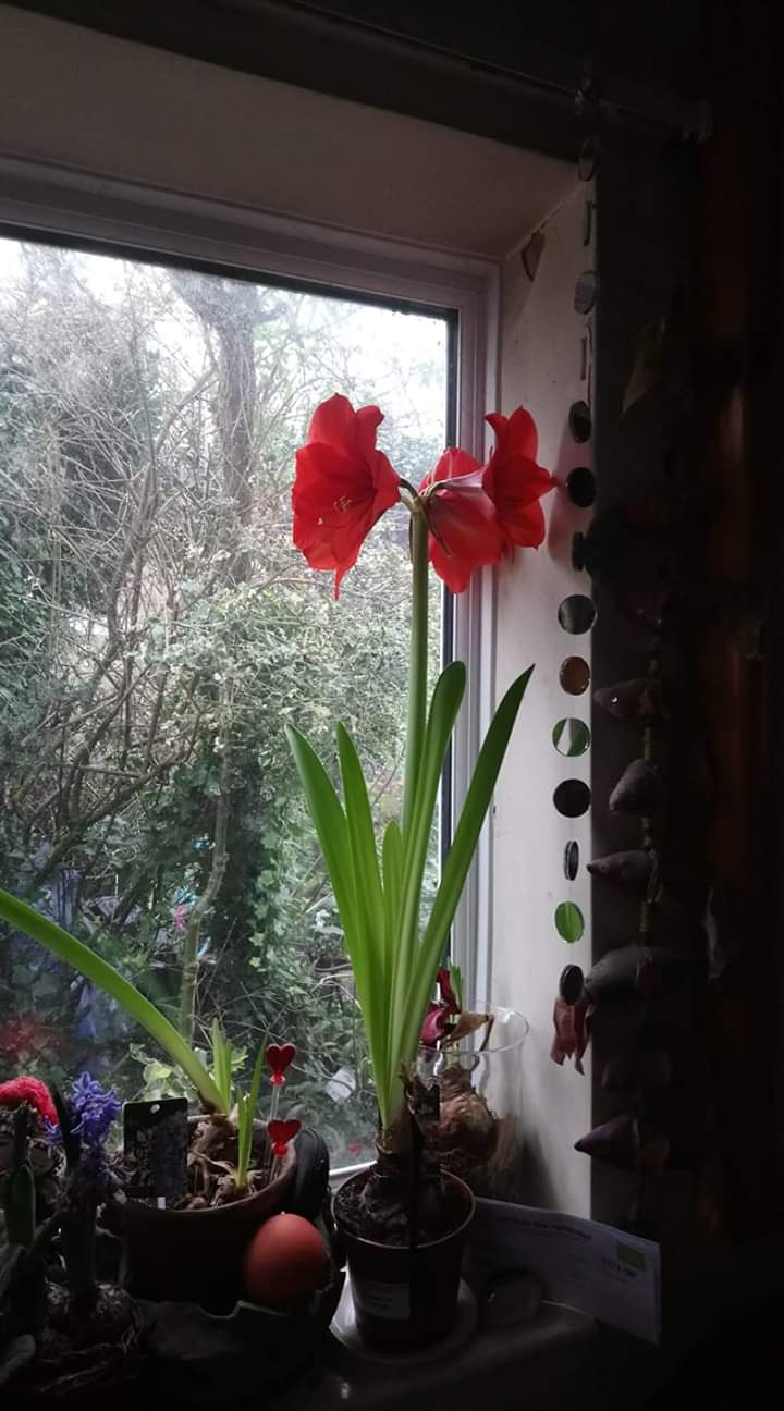 FB_IMG_1579309138728