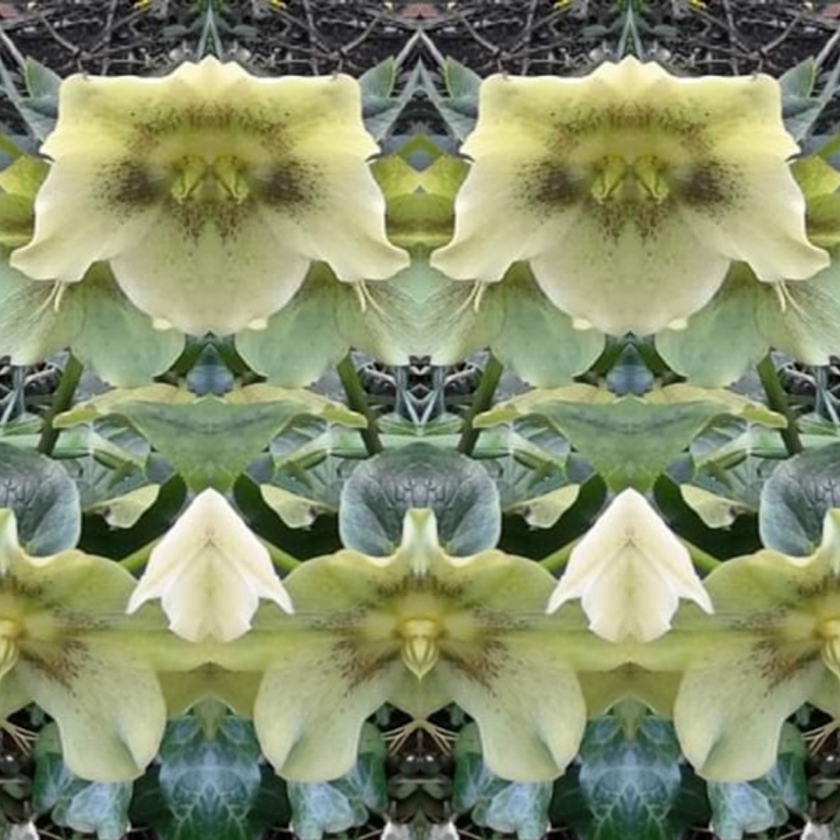 IMG_20191016_182752 (2) (2) (2)_optimized